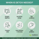 healblend-detox-formula-body-cleanse-dig-2.jpg