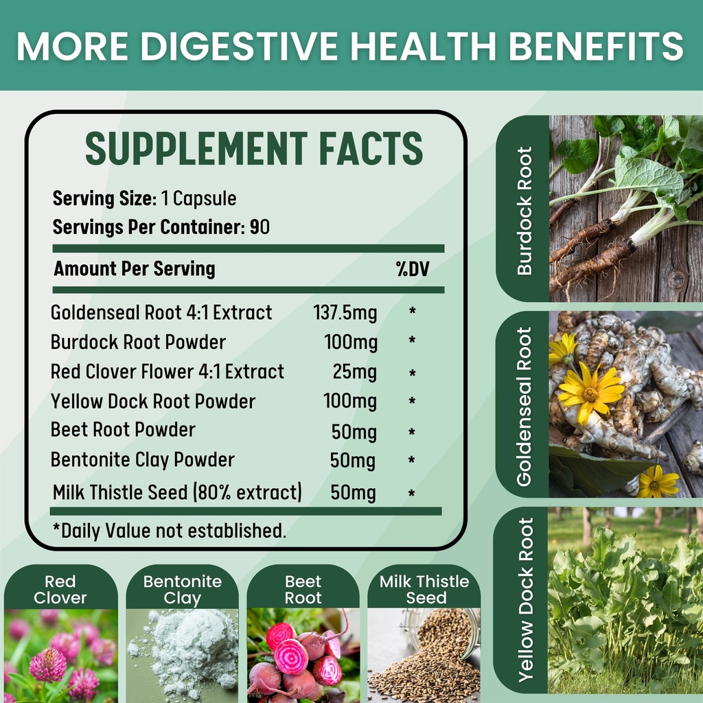 healblend-detox-formula-body-cleanse-dig-4.jpg