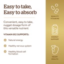 solgar-vitamin-b12-1000-mcg-250-nuggets--4.jpg