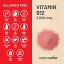 naturewise-vitamin-b12-3000-mcg-extra-st-6.jpg