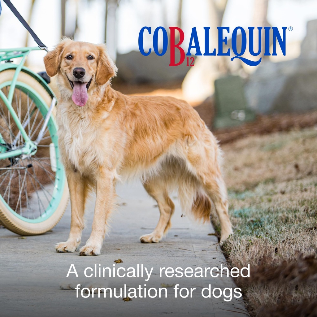 nutramax-cobalequin-b12-for-dogs-oral-co-2.jpg