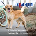 nutramax-cobalequin-b12-for-dogs-oral-co-2.jpg