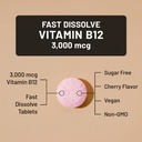 naturewise-vitamin-b12-3000-mcg-sublingu-3.jpg