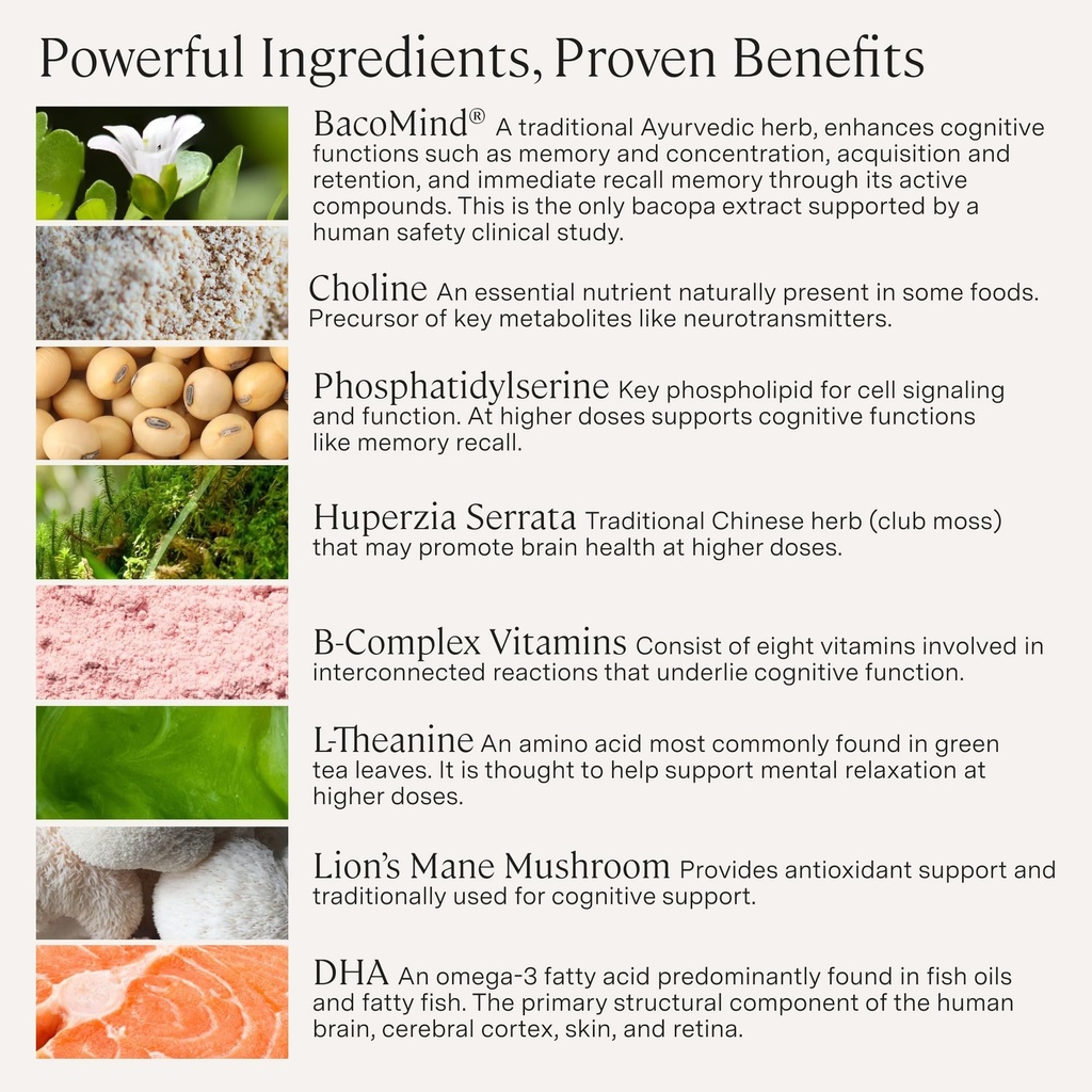 stonehenge-health-dynamic-brain-bacomind-4.jpg