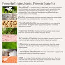 stonehenge-health-dynamic-brain-bacomind-4.jpg