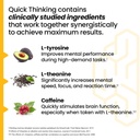 lifeseasons-neuroq-quick-thinking-supple-3.jpg