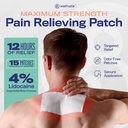 welmate-4-lidocaine-pain-relief-patches--2.jpg