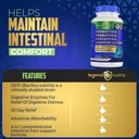 probiotics-prebiotics-postbiotics-digest-6.jpg