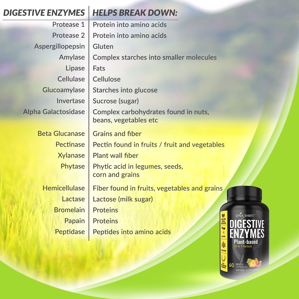 digestive-enzymes-for-men-and-women-enzy-3.jpg