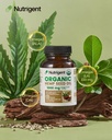 usda-organic-hemp-seed-oil-1000-mg-cold--2.jpg