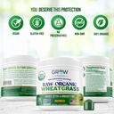 organic-raw-wheatgrass-juice-powder-usda-5.jpg