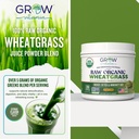 organic-raw-wheatgrass-juice-powder-usda-2.jpg