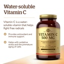 solgar-vitamin-c-500-mg-250-vegetable-ca-3.jpg