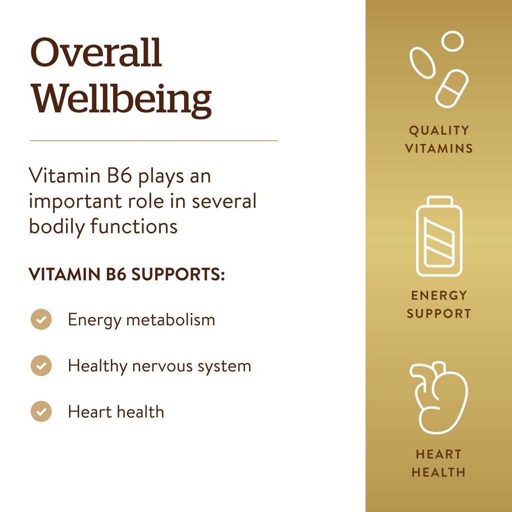 solgar-vitamin-b6-25-mg-100-tablets-supp-4.jpg