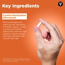 vital-vitamins-creatine-monohydrate-pill-4.jpg