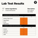 vital-vitamins-creatine-monohydrate-pill-6.jpg