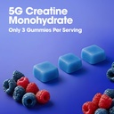 optimum-nutrition-creatine-monohydrate-g-4.jpg