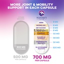 glucosamine-chondroitin-msm-turmeric-ext-6.jpg