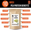 certified-organic-us-grown-pea-protein-i-3.jpg