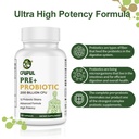 probiotics-for-women-and-men-200-billion-4.jpg