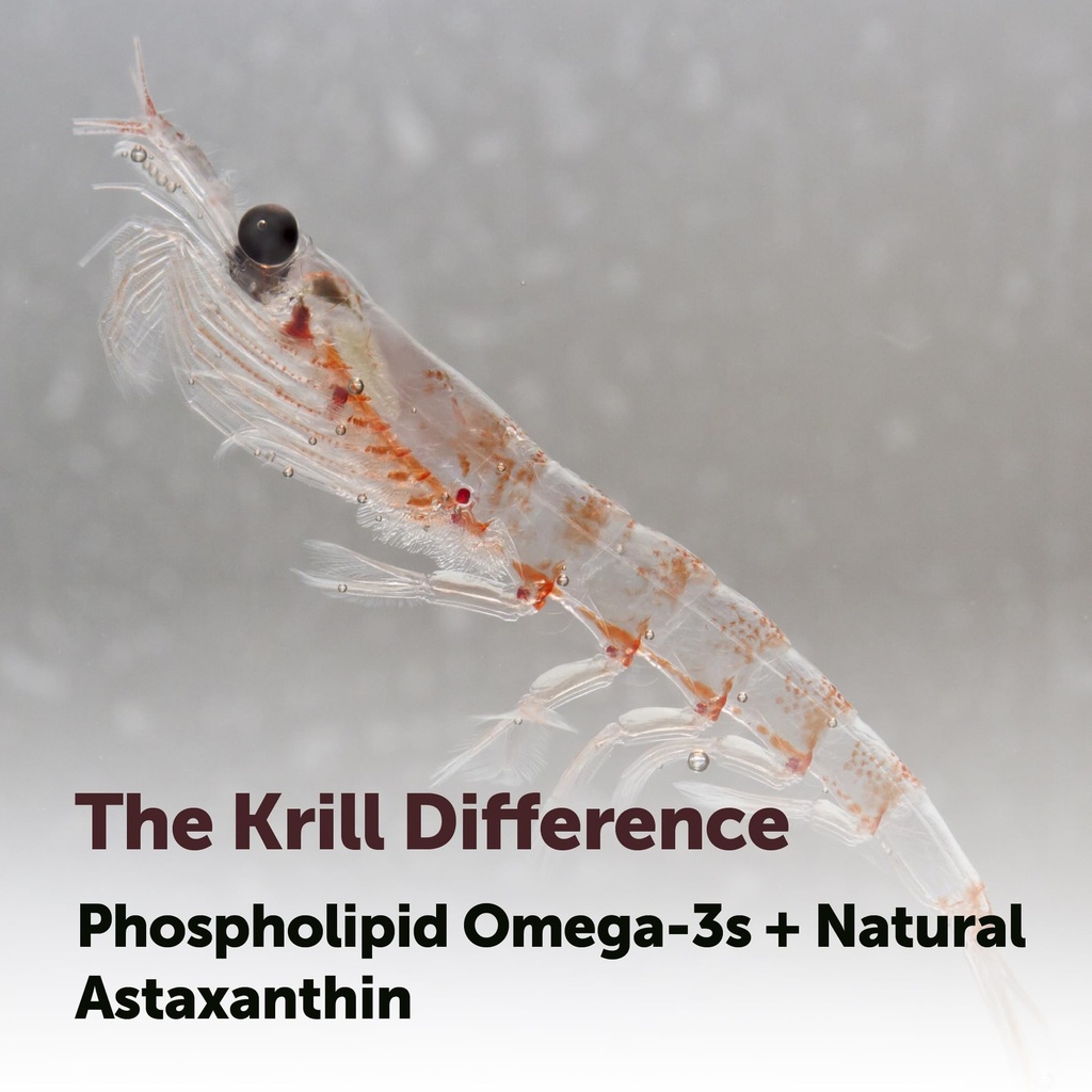 micro-ingredients-antarctic-krill-oil-1--5.jpg