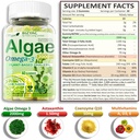 algae-gummies-omega-3-gummies-2200mg-fro-2.jpg