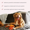 bark-whiskers-organic-astaxanthin-liquid-5.jpg