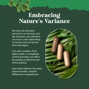 extra-strength-saw-palmetto-extract-adva-3.jpg