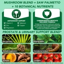 saw-palmetto-prostate-supplement-for-men-4.jpg