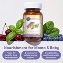 garden-of-life-organics-prenatal-multivi-4.jpg