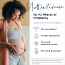 designs-for-health-prenatal-pro-methylat-2.jpg