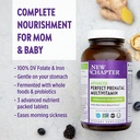 new-chapter-perfect-prenatal-vitamins-96-5.jpg