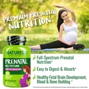 naturelo-prenatal-multivitamin-with-gent-4.jpg