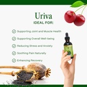 go-nutrients-uriva-advanced-uric-acid-fl-4.jpg