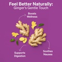 berry-ginger-candy-for-nausea-pregnancy--6.jpg