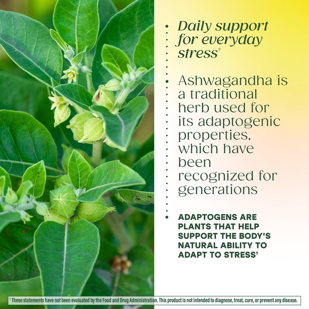 megafood-adrenal-strength-adrenal-suppor-5.jpg