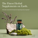 gaia-herbs-adrenal-health-daily-support--2.jpg