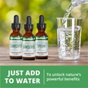 nutramedix-adrenal-fatigue-supplement-as-6.jpg