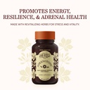 herbs-etc-adrenotonic-softgels-adrenal-h-2.jpg