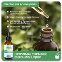 turmeric-liquid-supplements-turmeric-cur-2.jpg