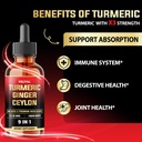 9in1-liquid-turmeric-curcumin-with-ginge-4.jpg