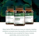 gaia-herbs-pro-curcuma-supreme-immune-he-6.jpg