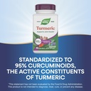 nature-s-way-turmeric-premium-extract-su-4.jpg