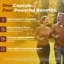 vital-turmeric-curcumin-supplement-1310--3.jpg
