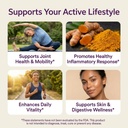 nuvothera-super-micronized-turmeric-curc-5.jpg