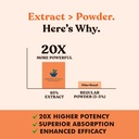 american-standard-supplements-turmeric-e-4.jpg