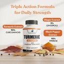american-standard-supplements-turmeric-e-3.jpg