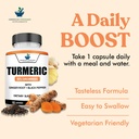 american-standard-supplements-turmeric-e-5.jpg