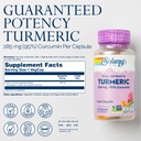 solaray-turmeric-supplement-300-mg-turme-2.jpg