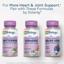 solaray-turmeric-supplement-300-mg-turme-6.jpg